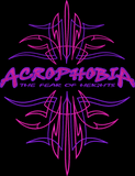 BLACK ACROPHOBIA DICKIES JACKET
